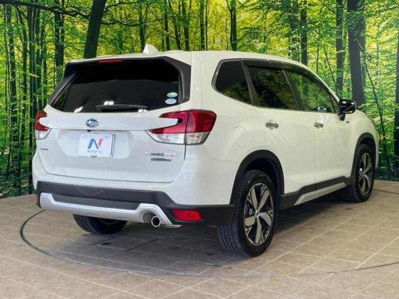 FORESTER