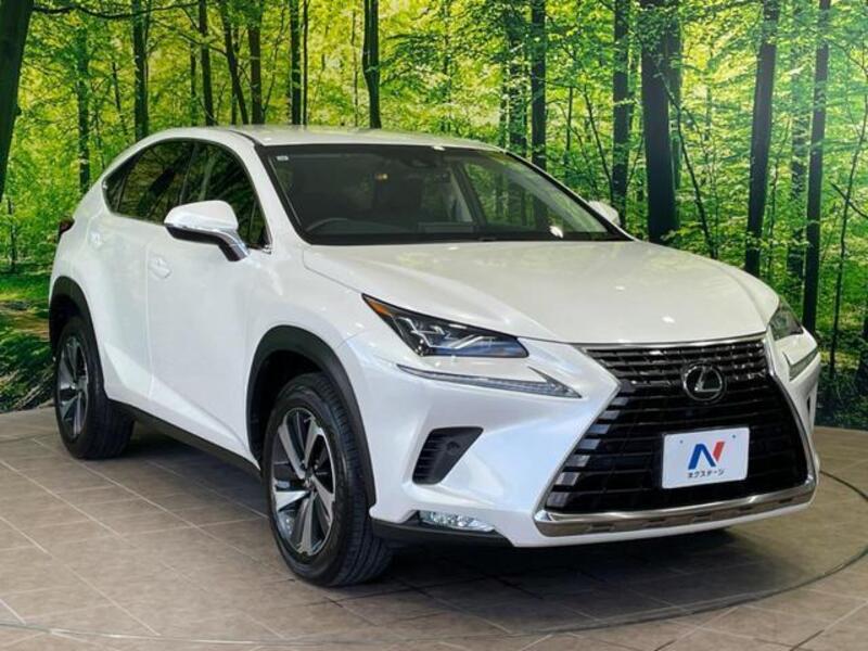 NX