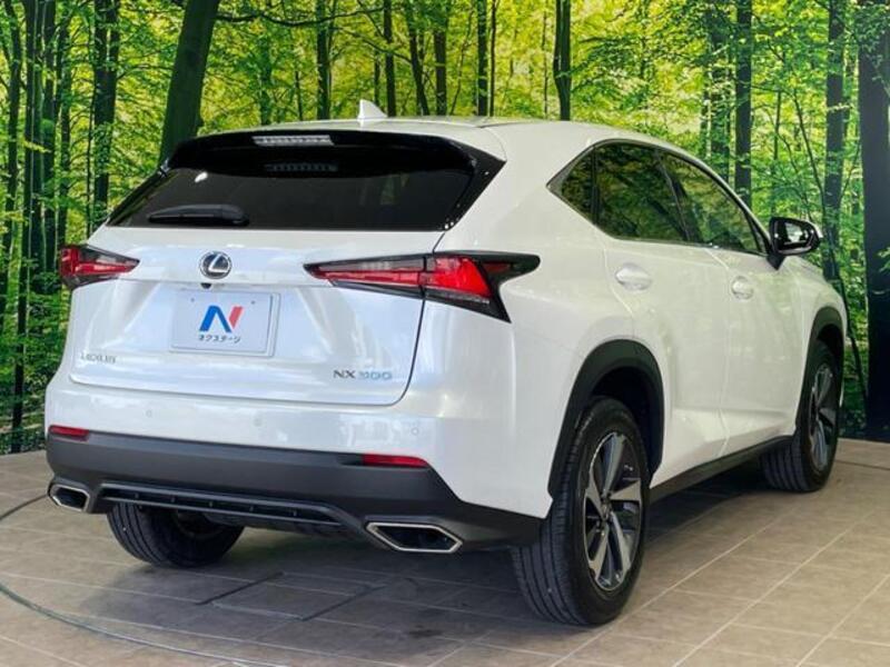 NX