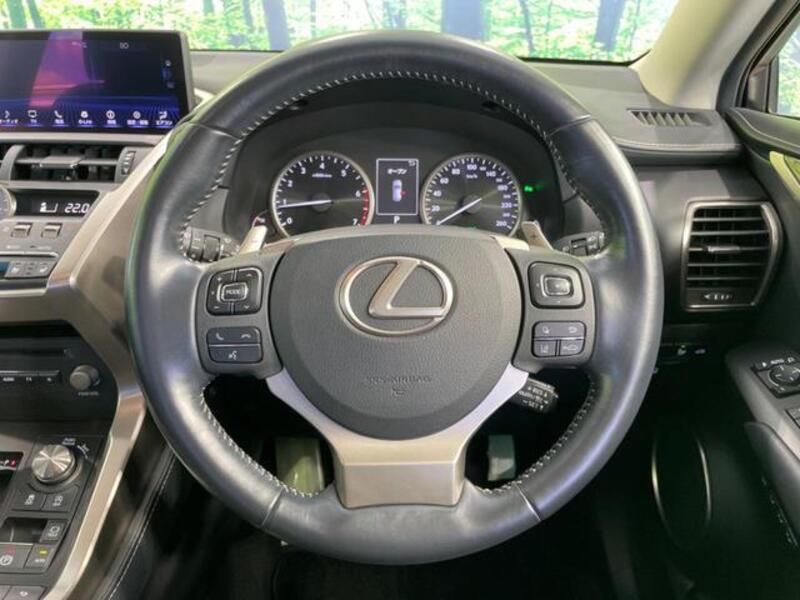 NX