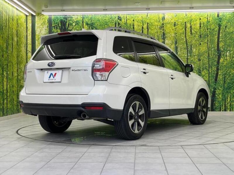 FORESTER