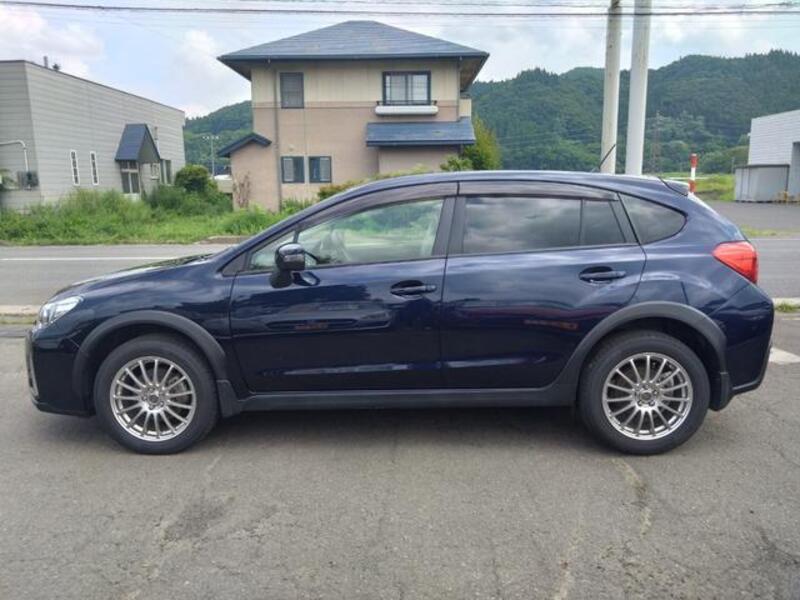 XV