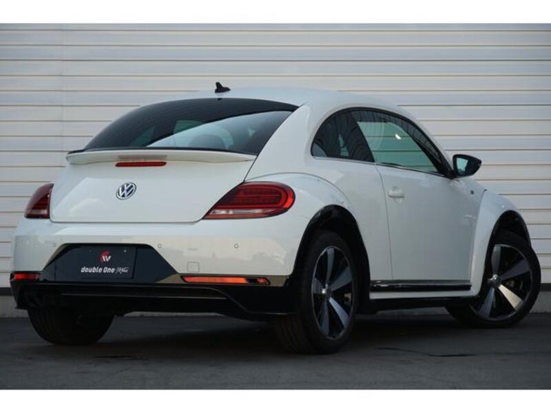 THE BEETLE