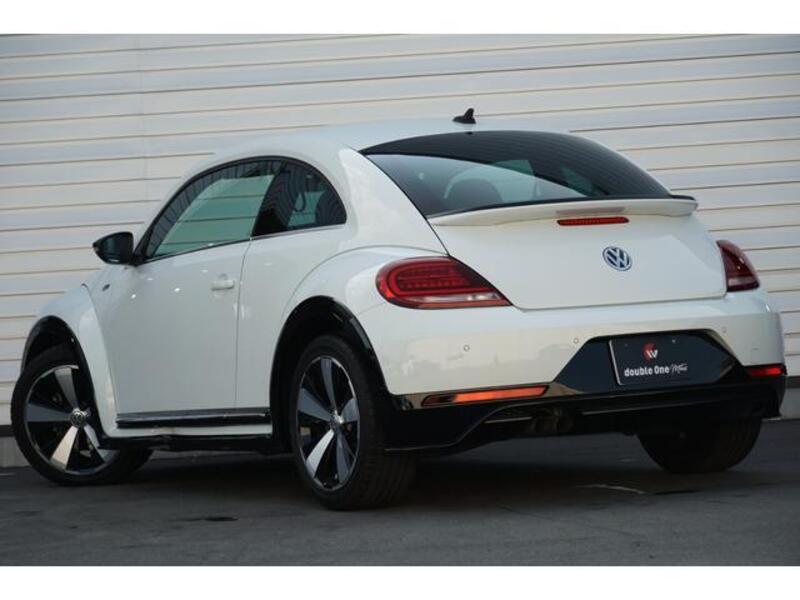 THE BEETLE
