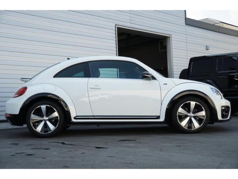 THE BEETLE