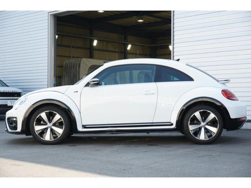 THE BEETLE