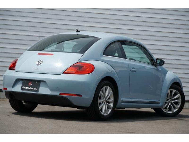 THE BEETLE