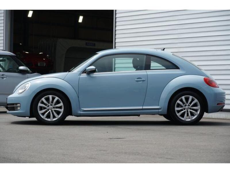 THE BEETLE