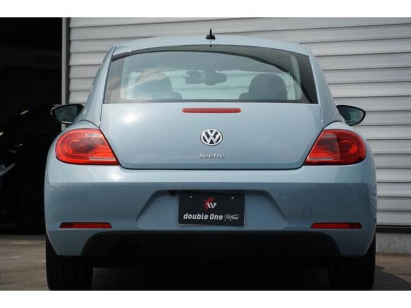 THE BEETLE