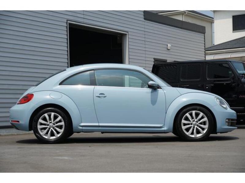 THE BEETLE