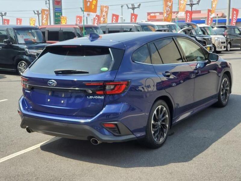 LEVORG
