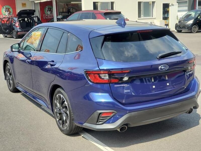 LEVORG