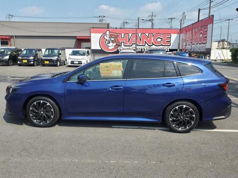 LEVORG