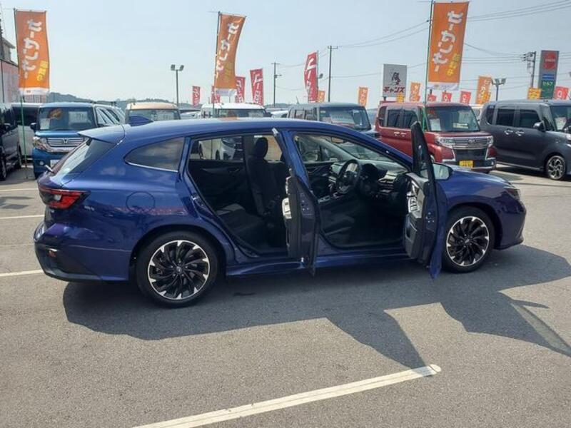 LEVORG