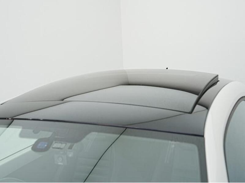 THE BEETLE