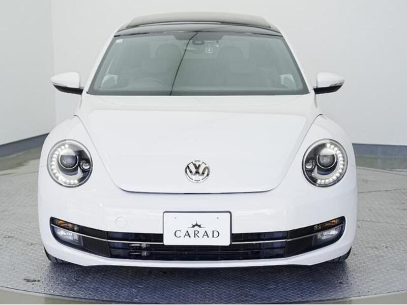 THE BEETLE