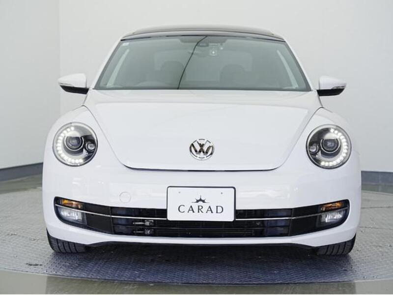 THE BEETLE