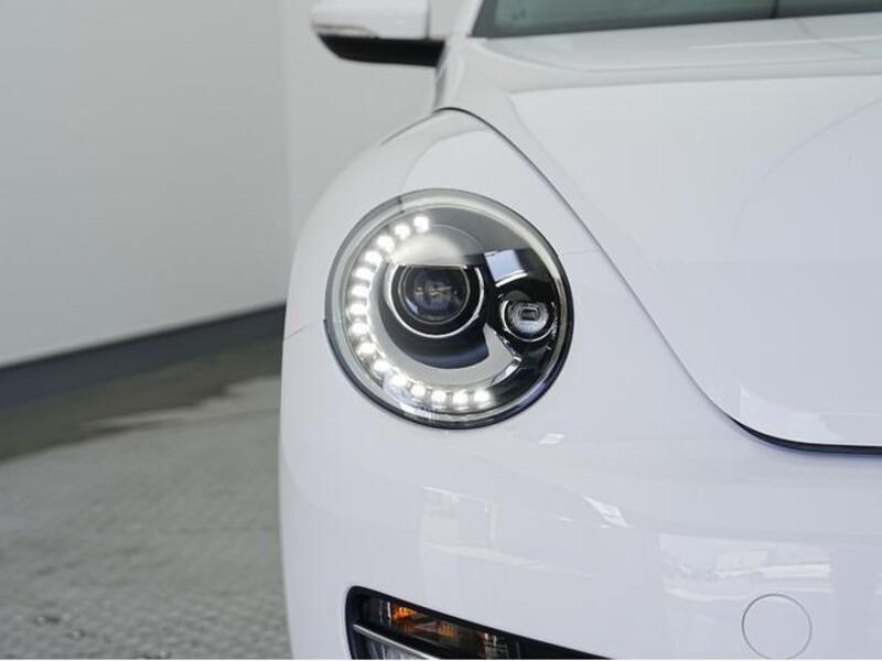 THE BEETLE