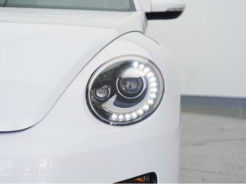 THE BEETLE