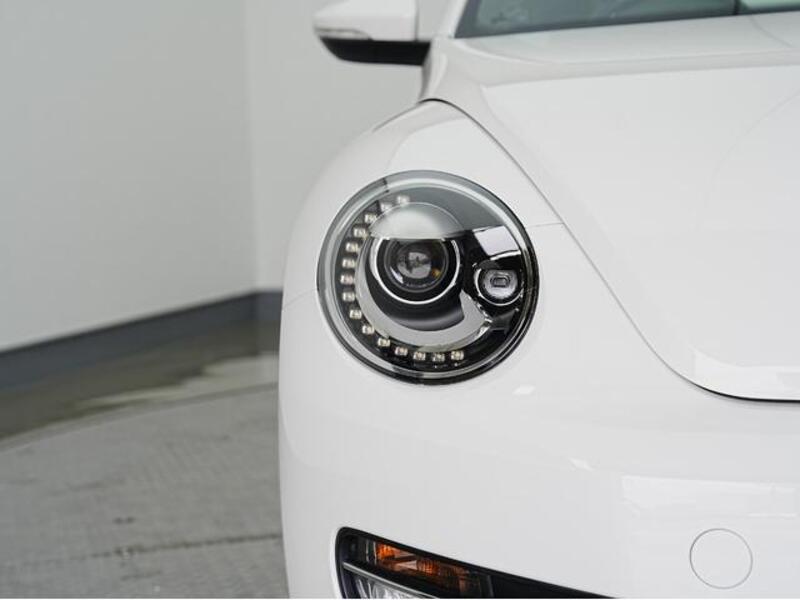 THE BEETLE