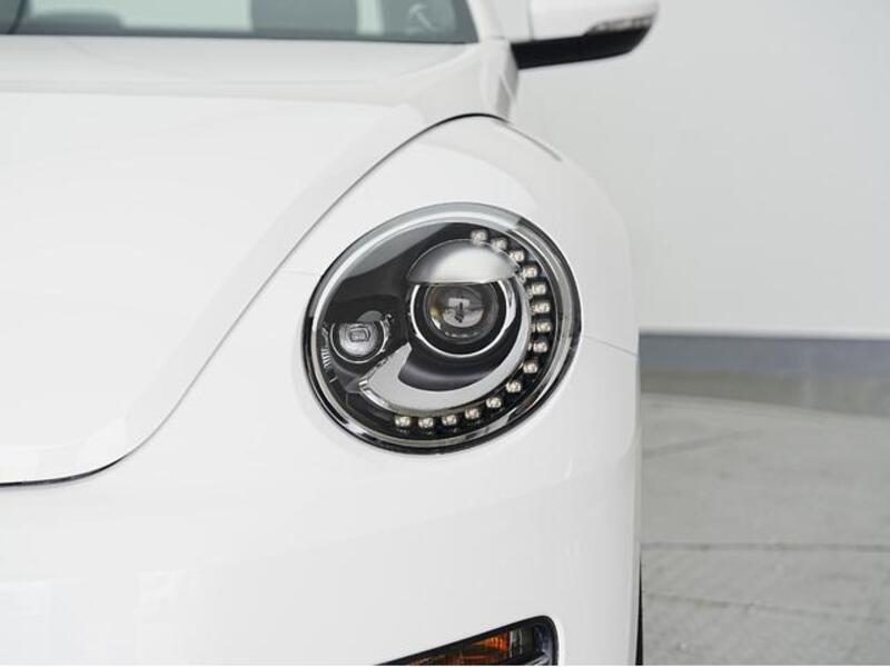 THE BEETLE