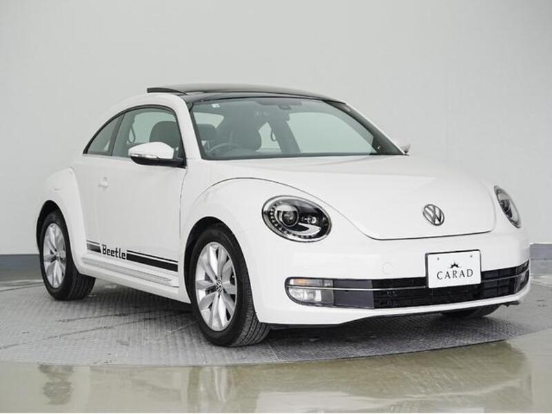 THE BEETLE