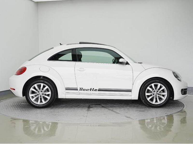 THE BEETLE