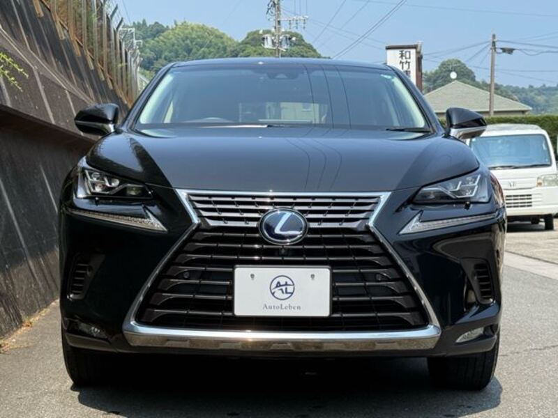 NX