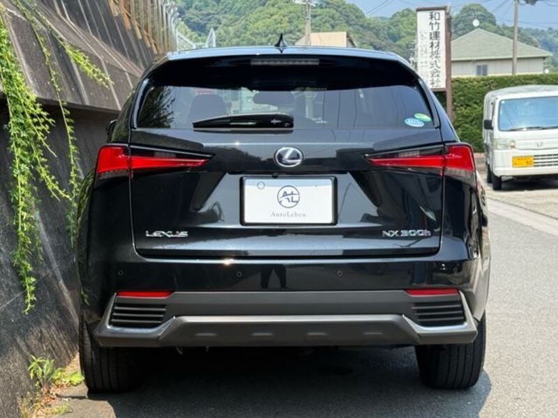 NX