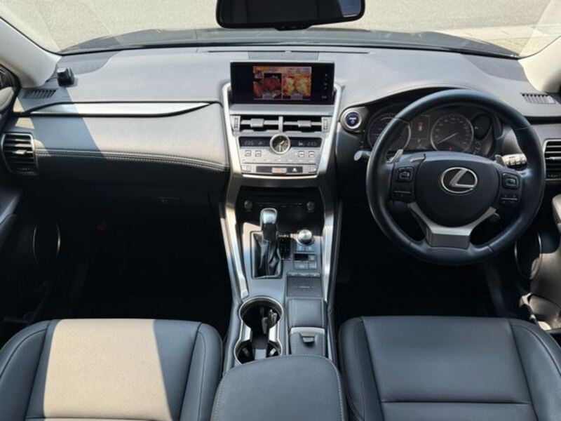 NX