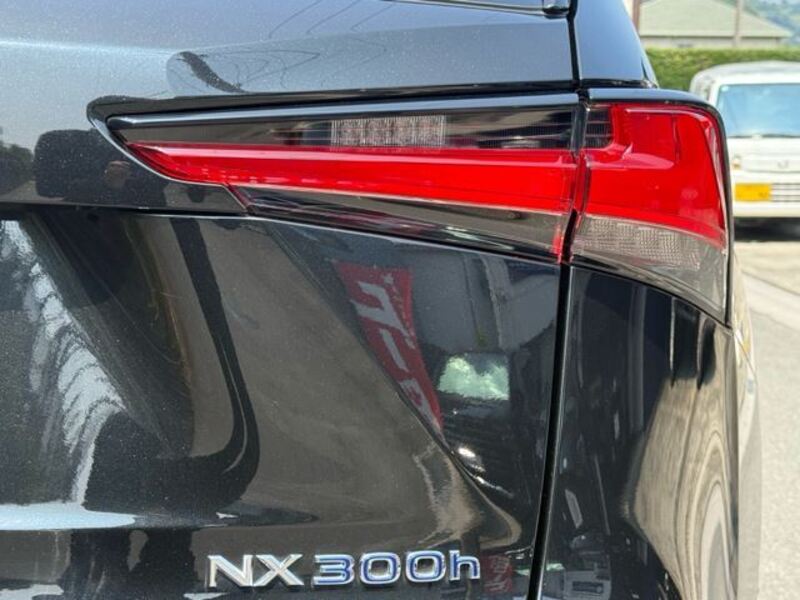NX