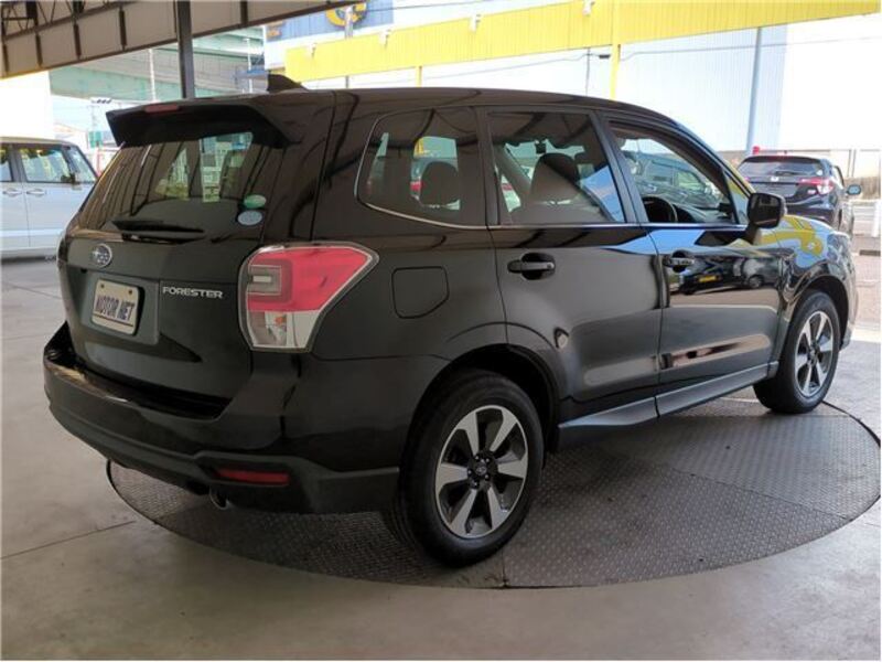FORESTER