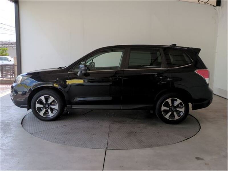 FORESTER