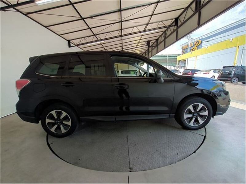FORESTER