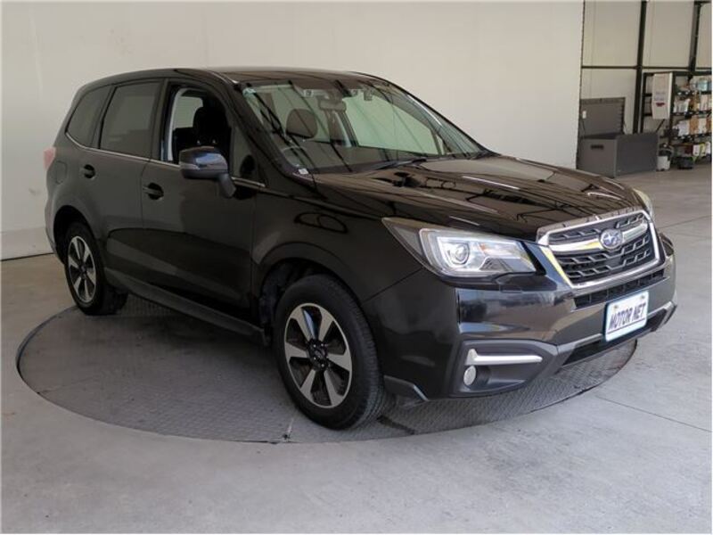 FORESTER
