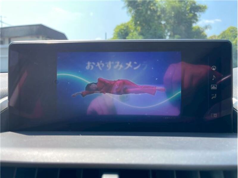 NX