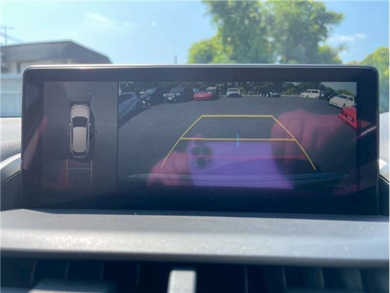 NX