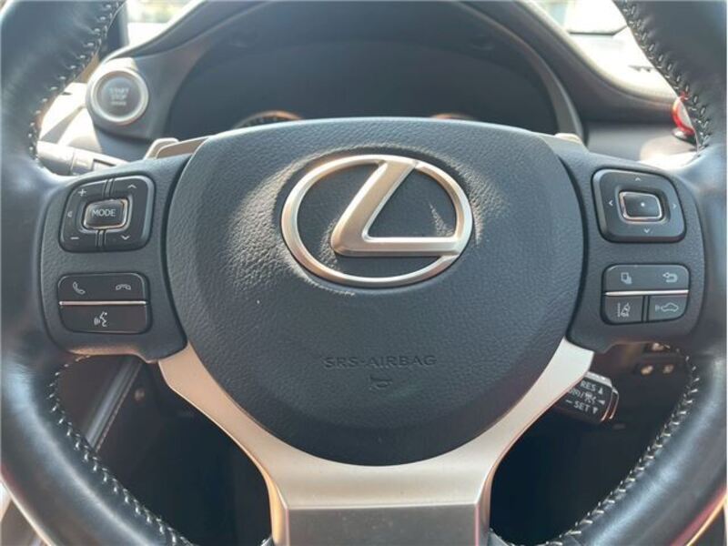 NX