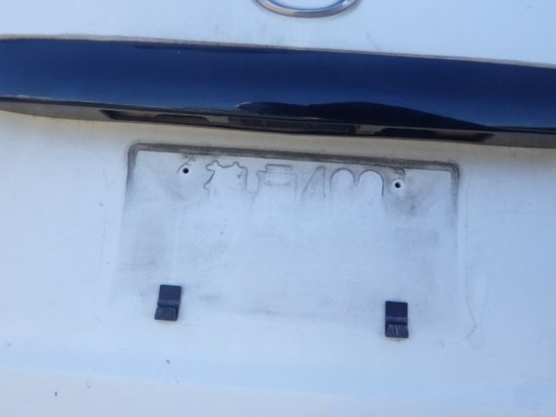 BONGO VAN