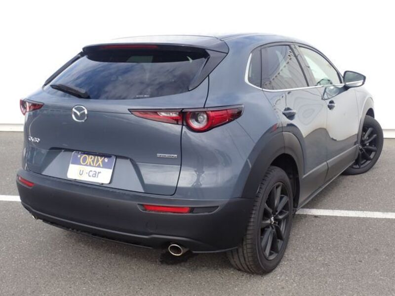 CX-30
