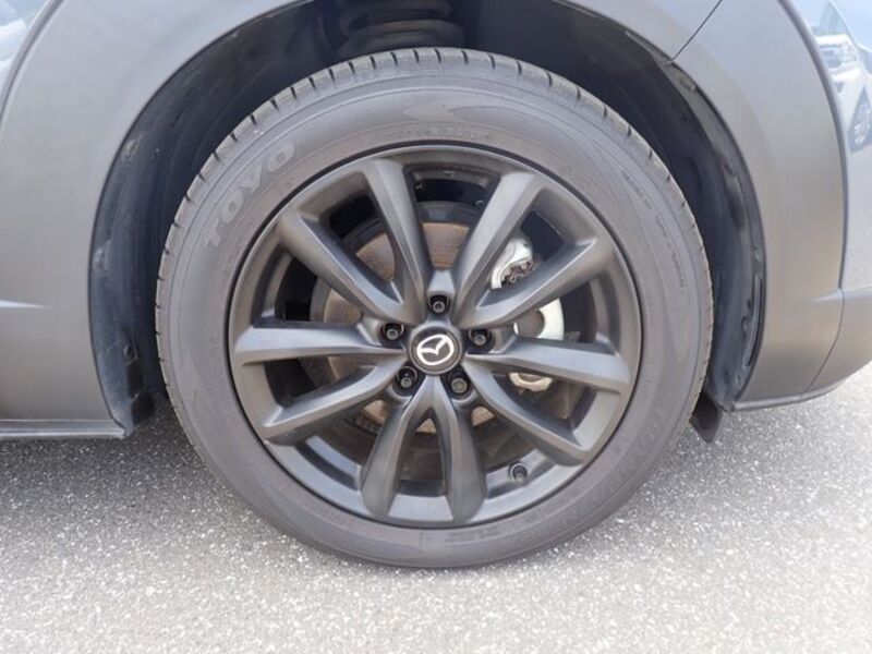 CX-30