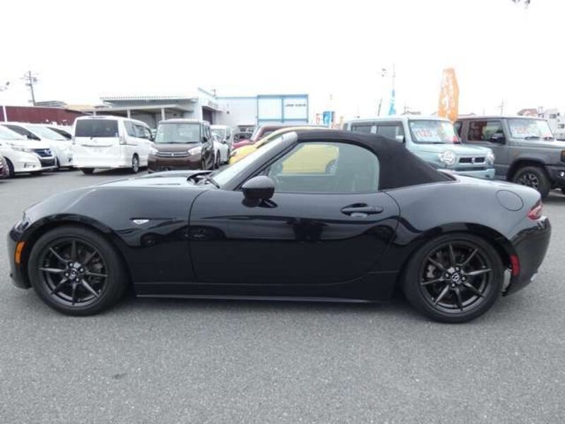 ROADSTER