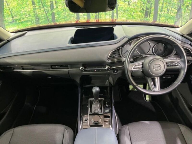 CX-30