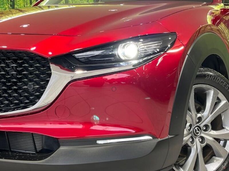 CX-30