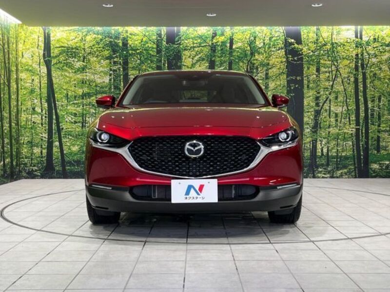 CX-30