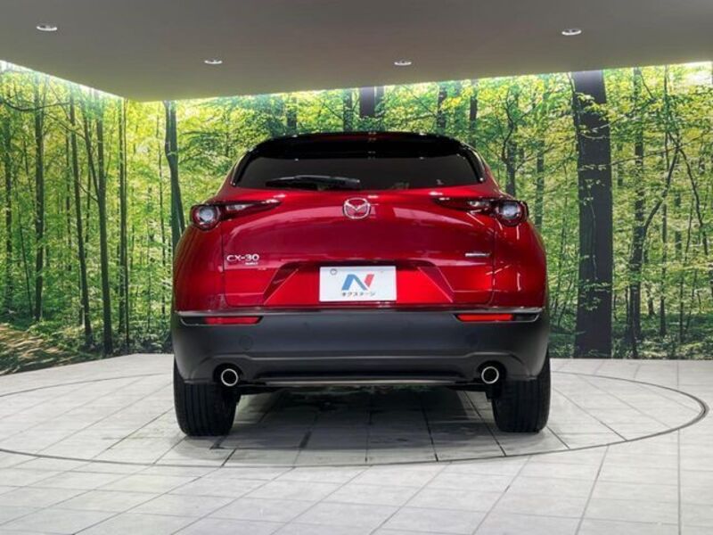 CX-30
