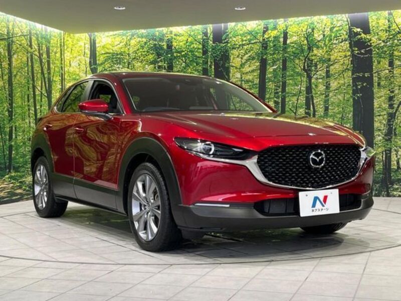 CX-30