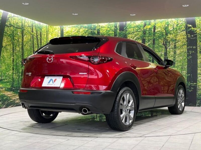 CX-30