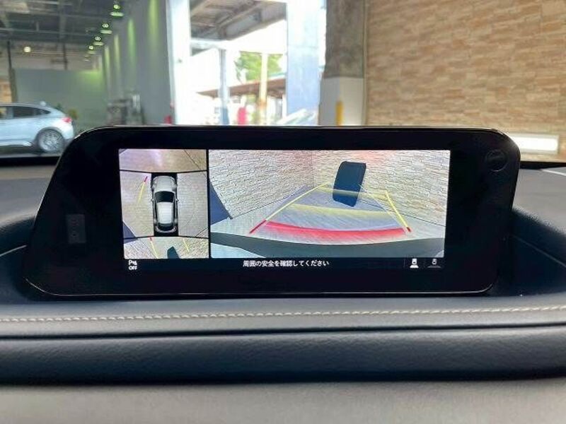 CX-30