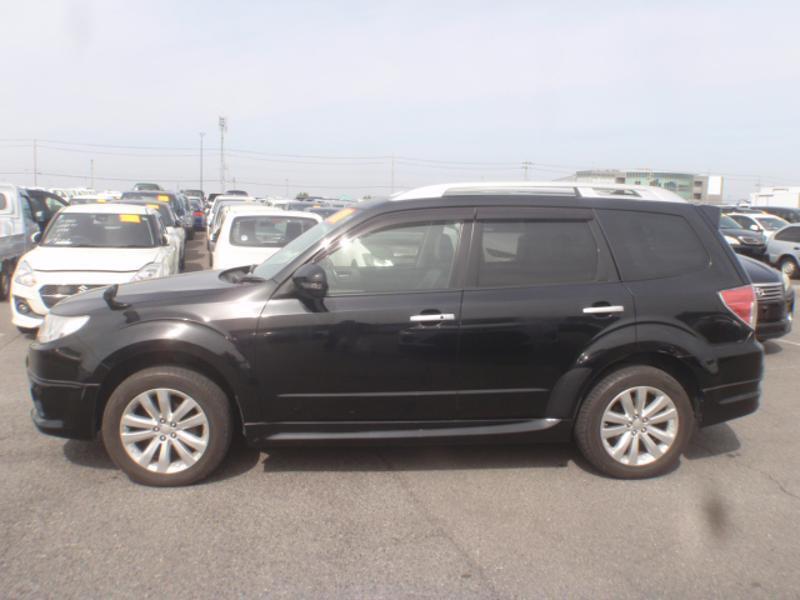 FORESTER